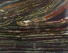 Polished Tiger Iron Stromatolite - ( Billion Years) #92881-1